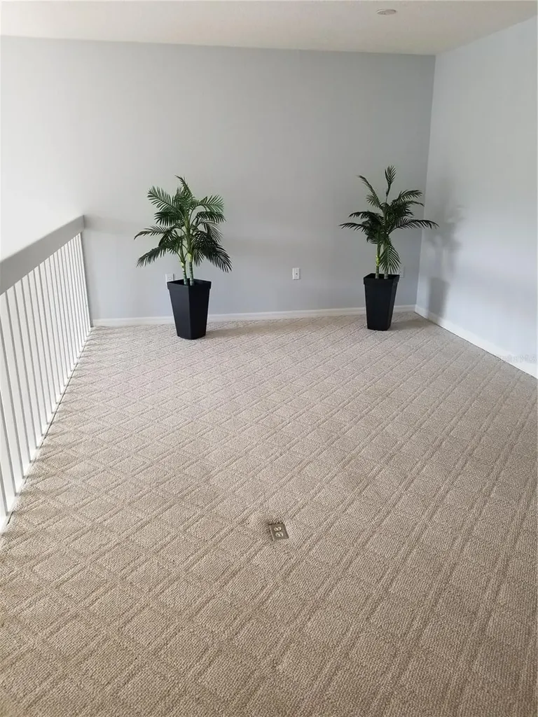 1223 Clays Trail Oldsmar FL 34677