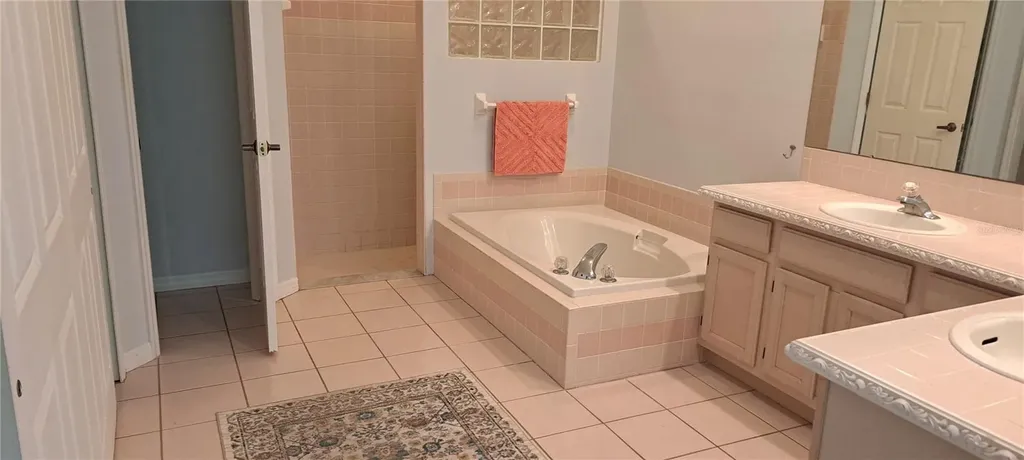 1223 Clays Trail Oldsmar FL 34677