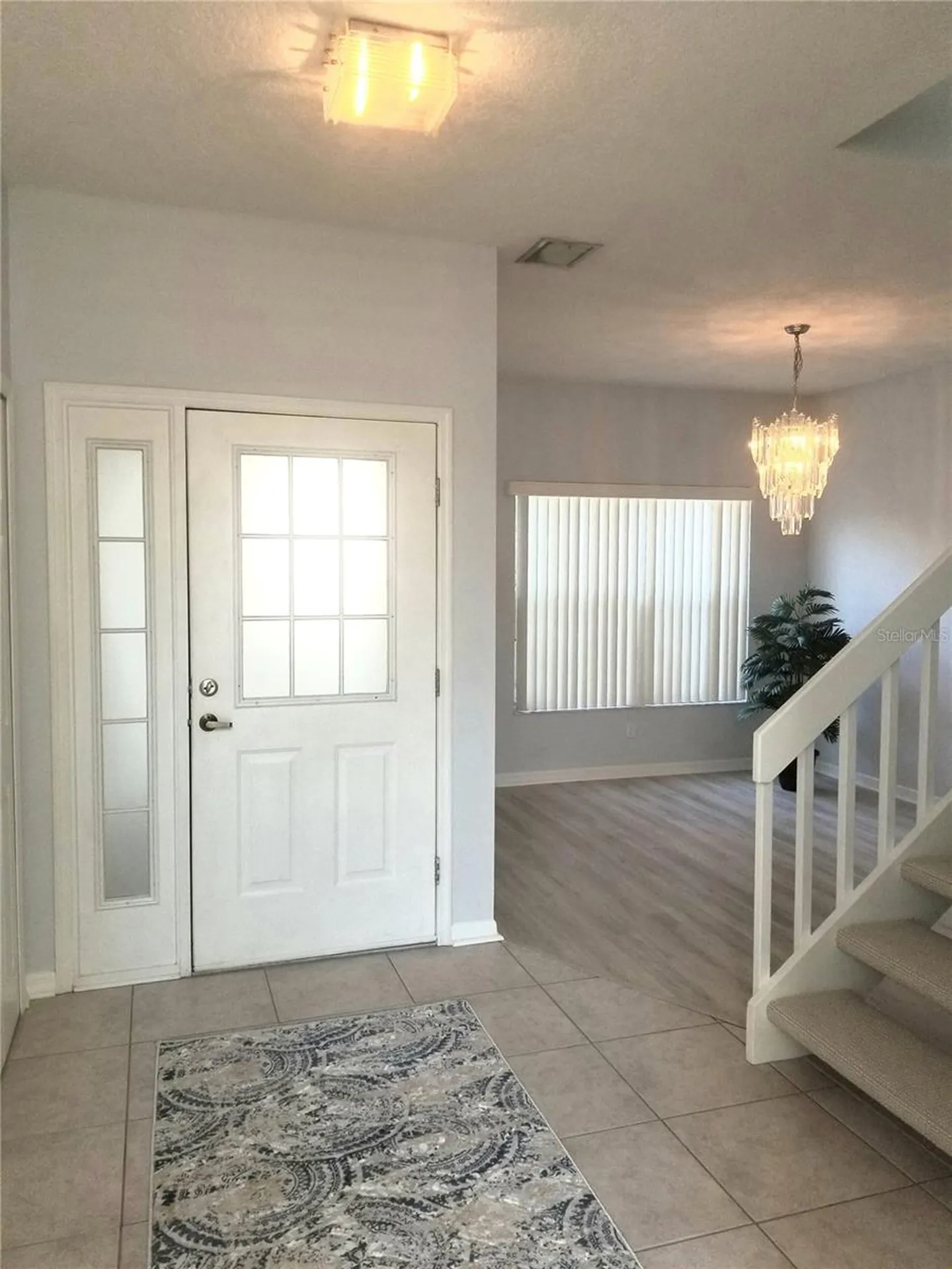 1223 Clays Trail Oldsmar FL 34677