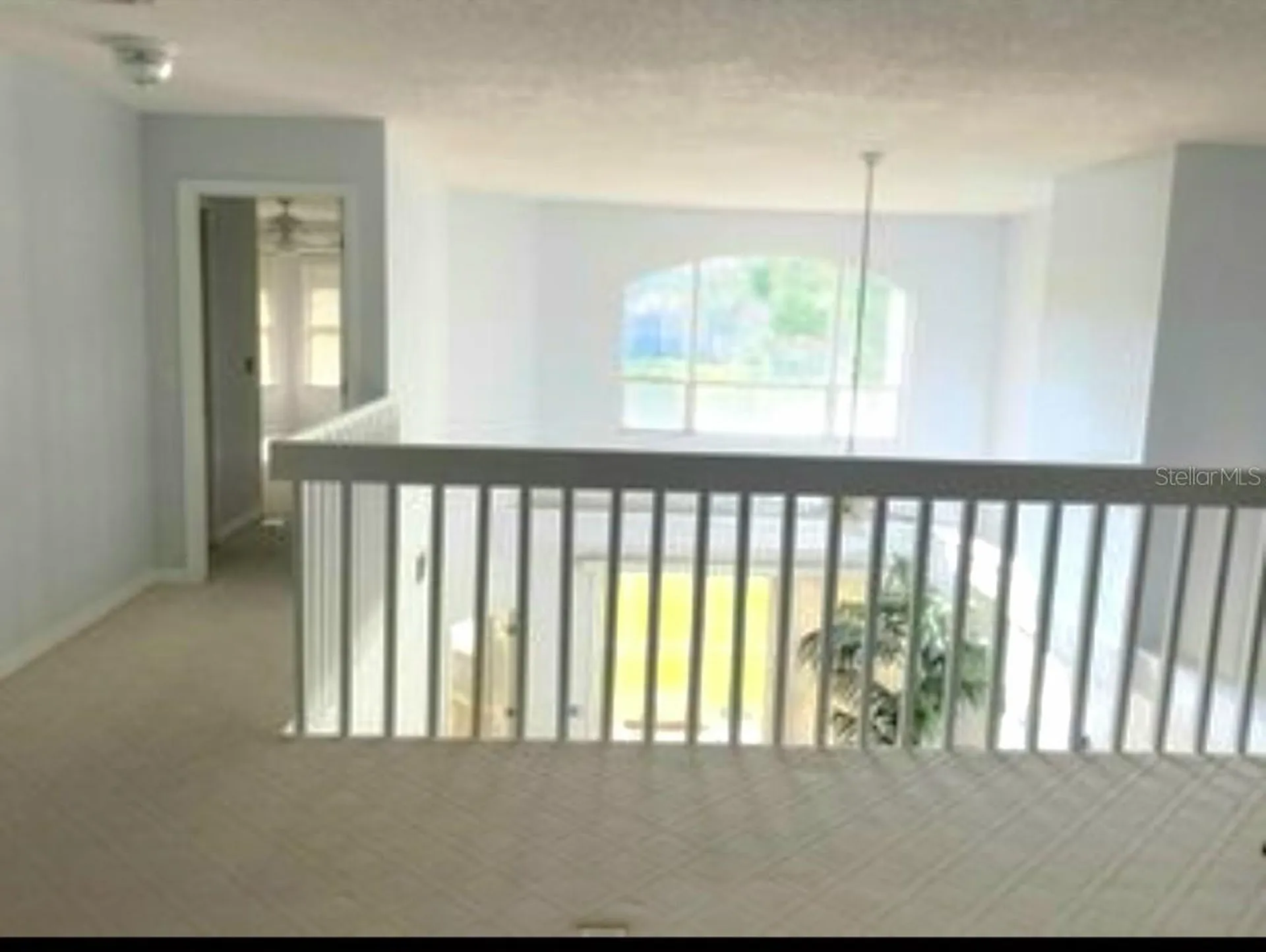1223 Clays Trail Oldsmar FL 34677