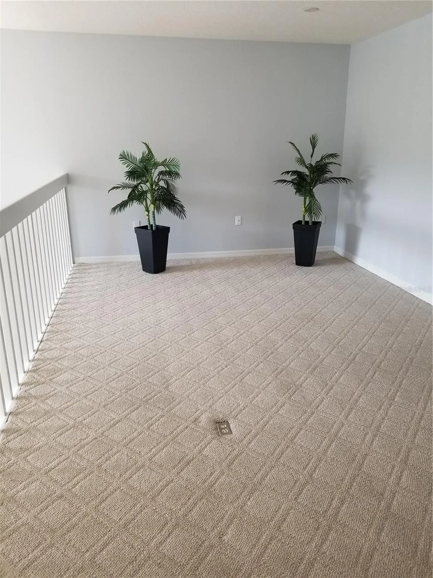 1223 Clays Trail Oldsmar FL 34677