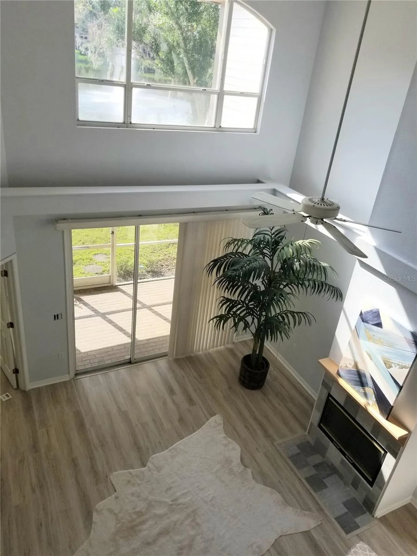 1223 Clays Trail Oldsmar FL 34677