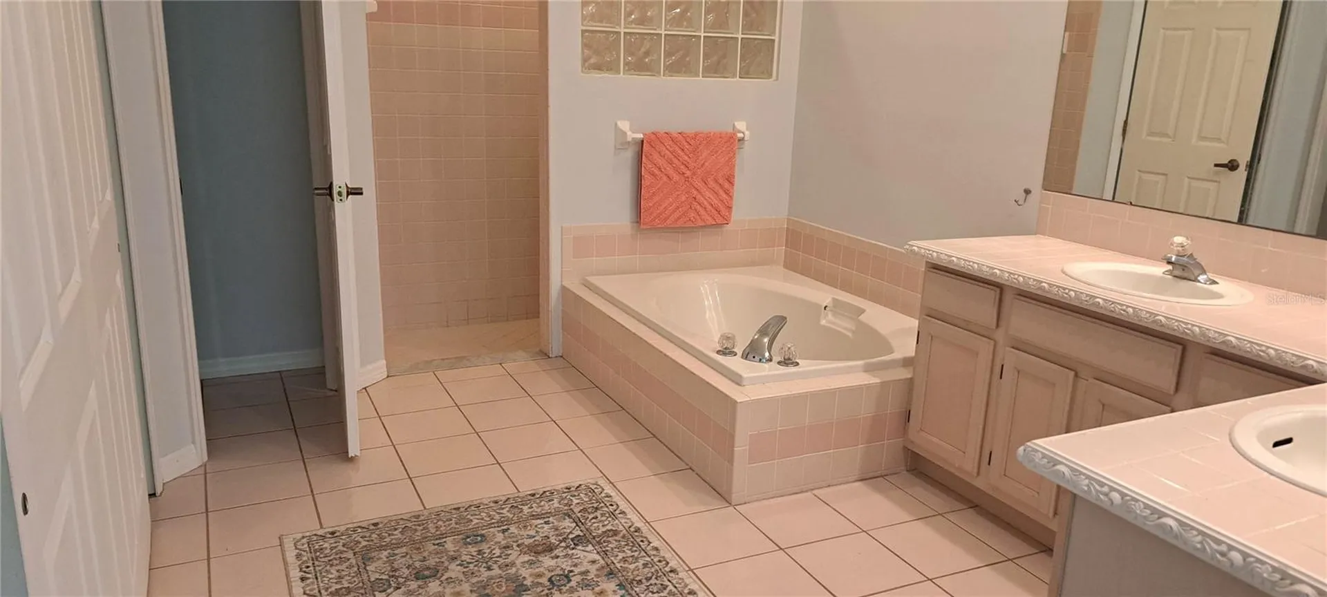1223 Clays Trail Oldsmar FL 34677