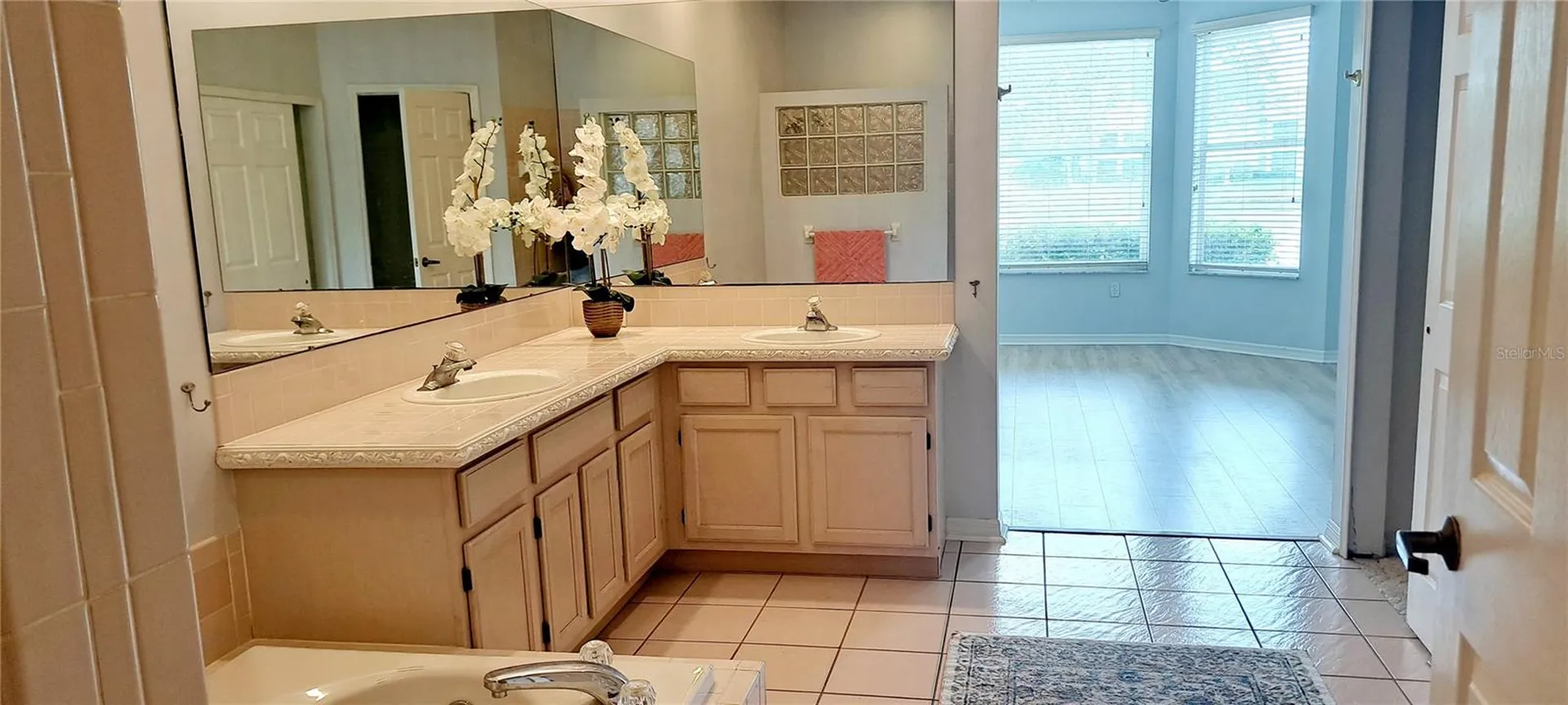 1223 Clays Trail Oldsmar FL 34677