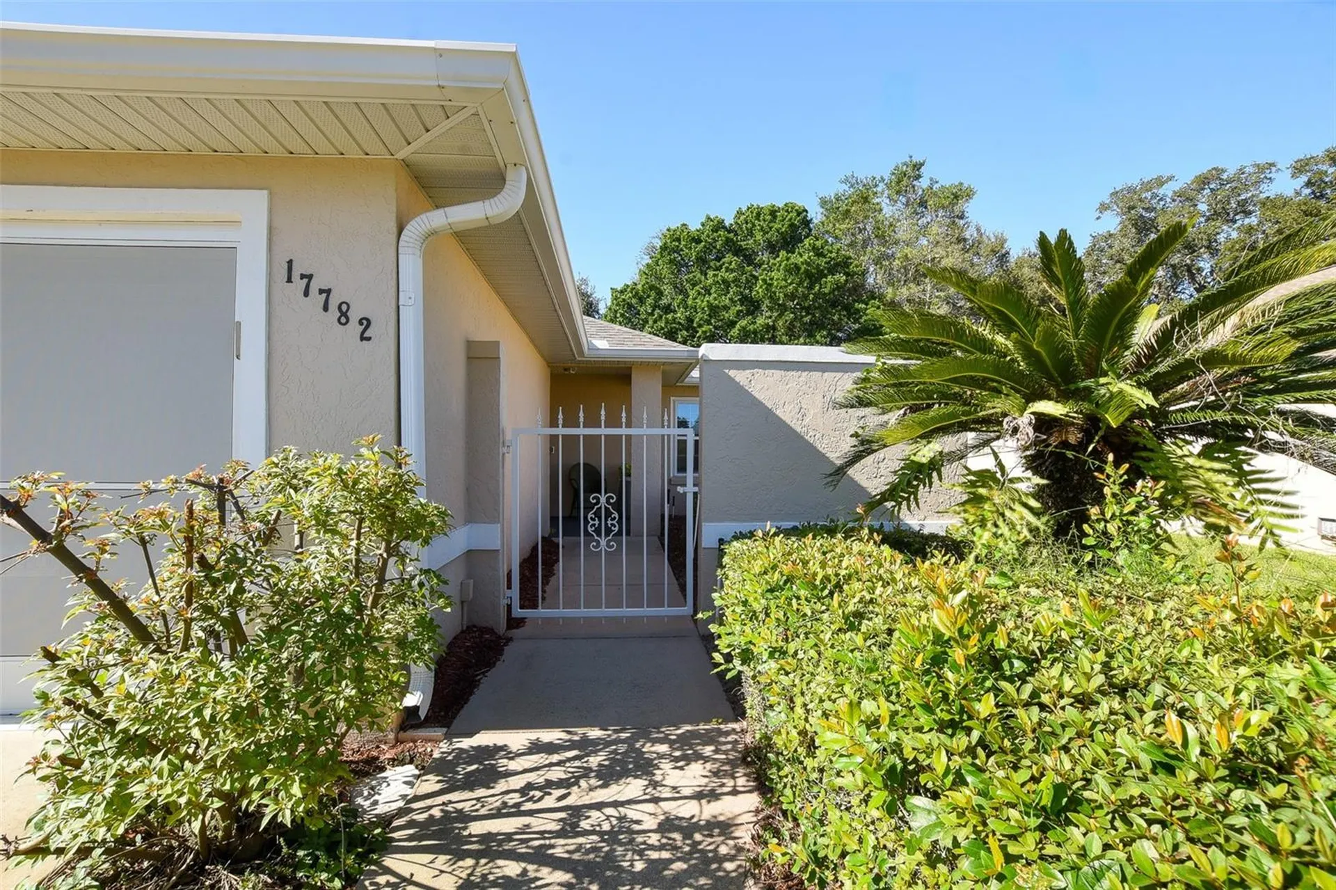 17782 SE 113th Terrace Summerfield FL 34491