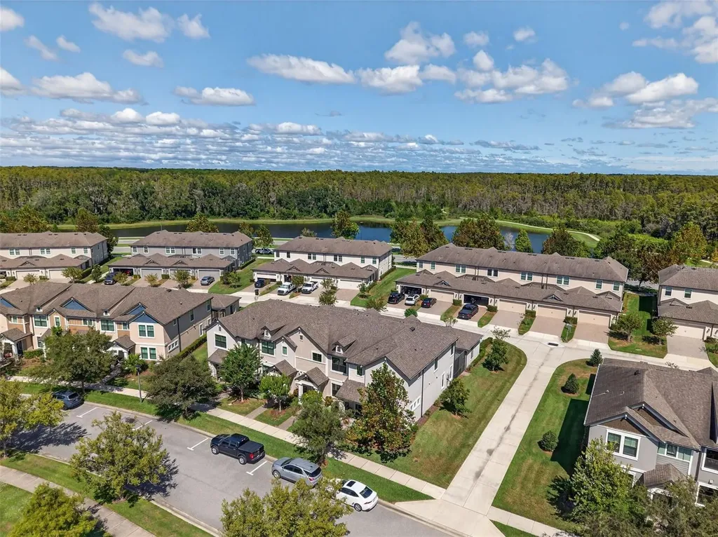 13071 Batten Lane Odessa FL 33556