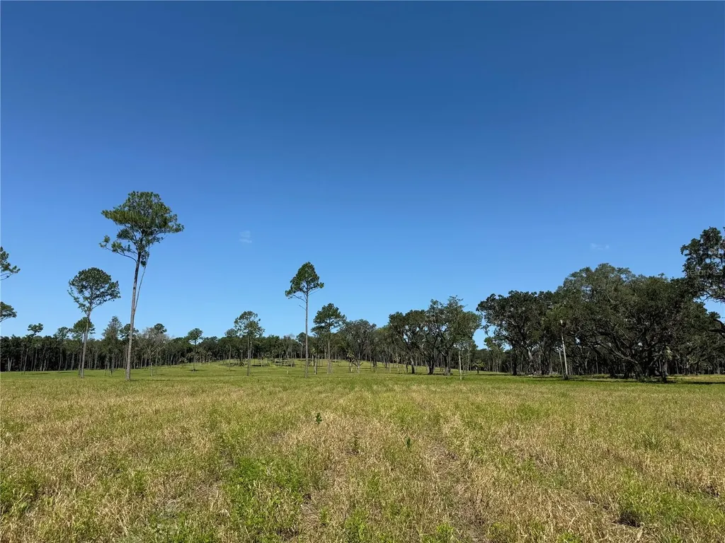 Drive #5 (24ac) NW 193rd Street Micanopy FL 32667