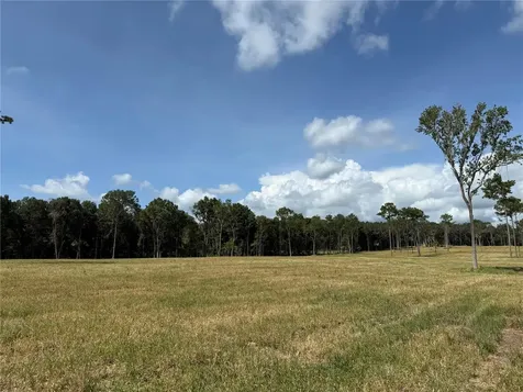 Drive #5 (24ac) NW 193rd Street Micanopy FL 32667