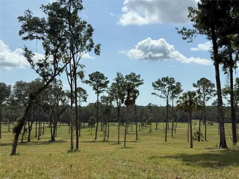 Drive #5 (24ac) NW 193rd Street Micanopy FL 32667