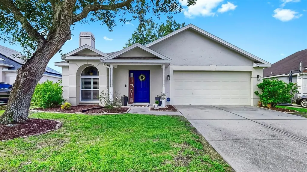28422 Tall Grass Drive Wesley Chapel FL 33543