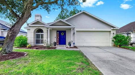 28422 Tall Grass Drive Wesley Chapel FL 33543