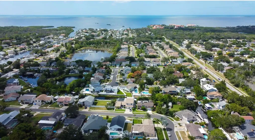 4831 Blue Jay Circle Palm Harbor FL 34683