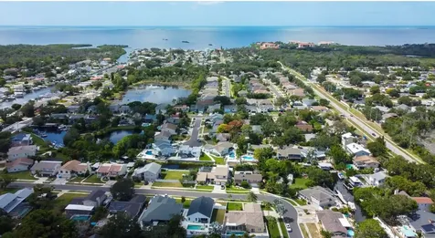 4831 Blue Jay Circle Palm Harbor FL 34683