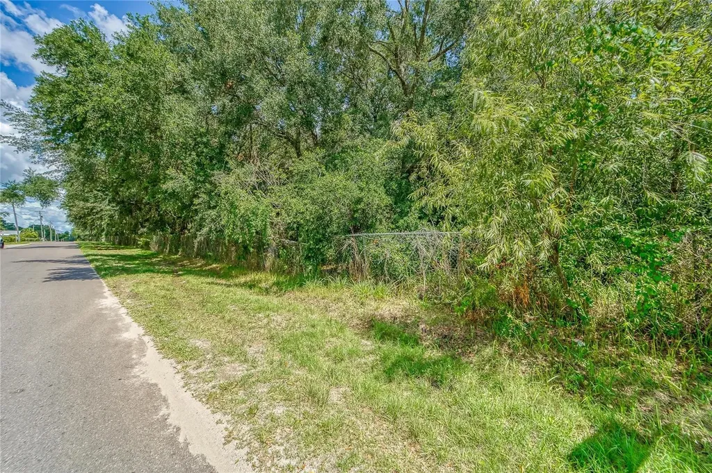 Turkey Creek Road Plant City FL 33563