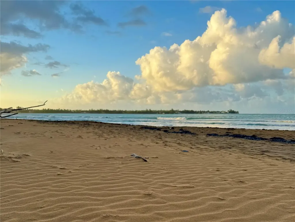 . Camino De Las Picuas Rio Grande PR 00745