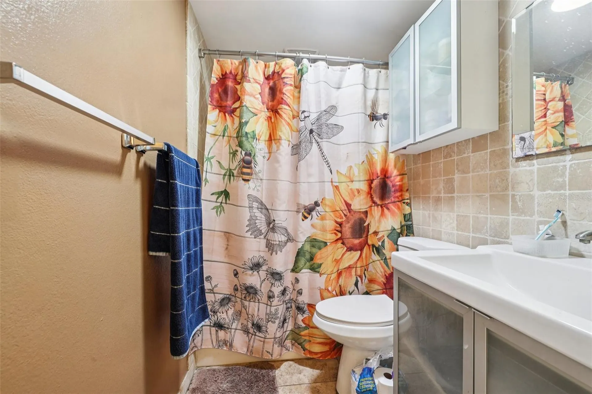 1013 Oakhill Street Seffner FL 33584