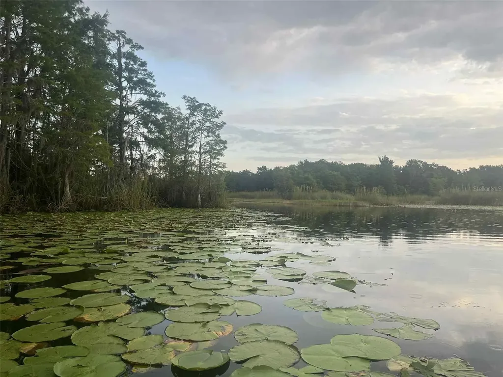 1135 N Jackadee Point Inverness FL 34453