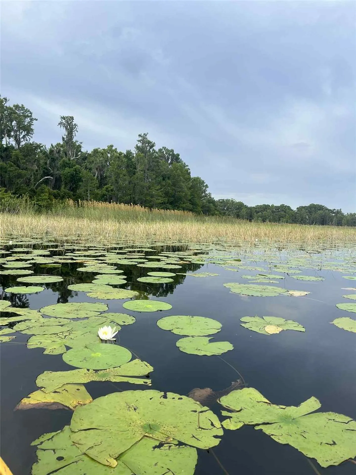 1135 N Jackadee Point Inverness FL 34453