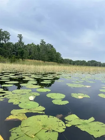 1135 N Jackadee Point Inverness FL 34453