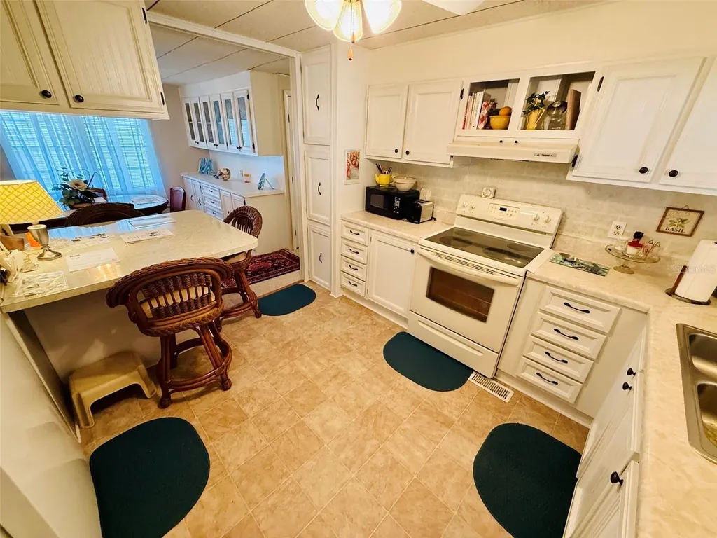47 Kono Circle Leesburg FL 34788