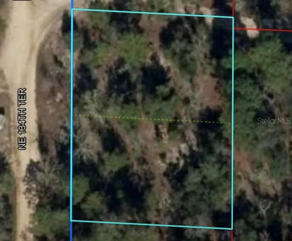 0 NE 134 Terrace Williston FL 32696
