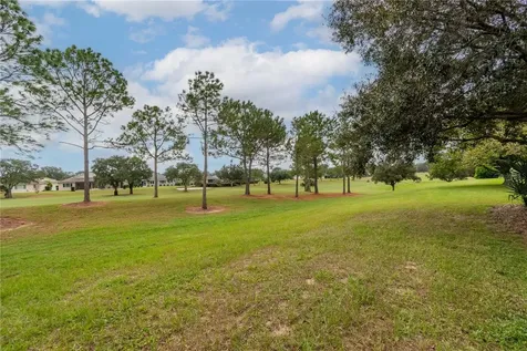 9071 SW 99th Court Road Ocala FL 34481