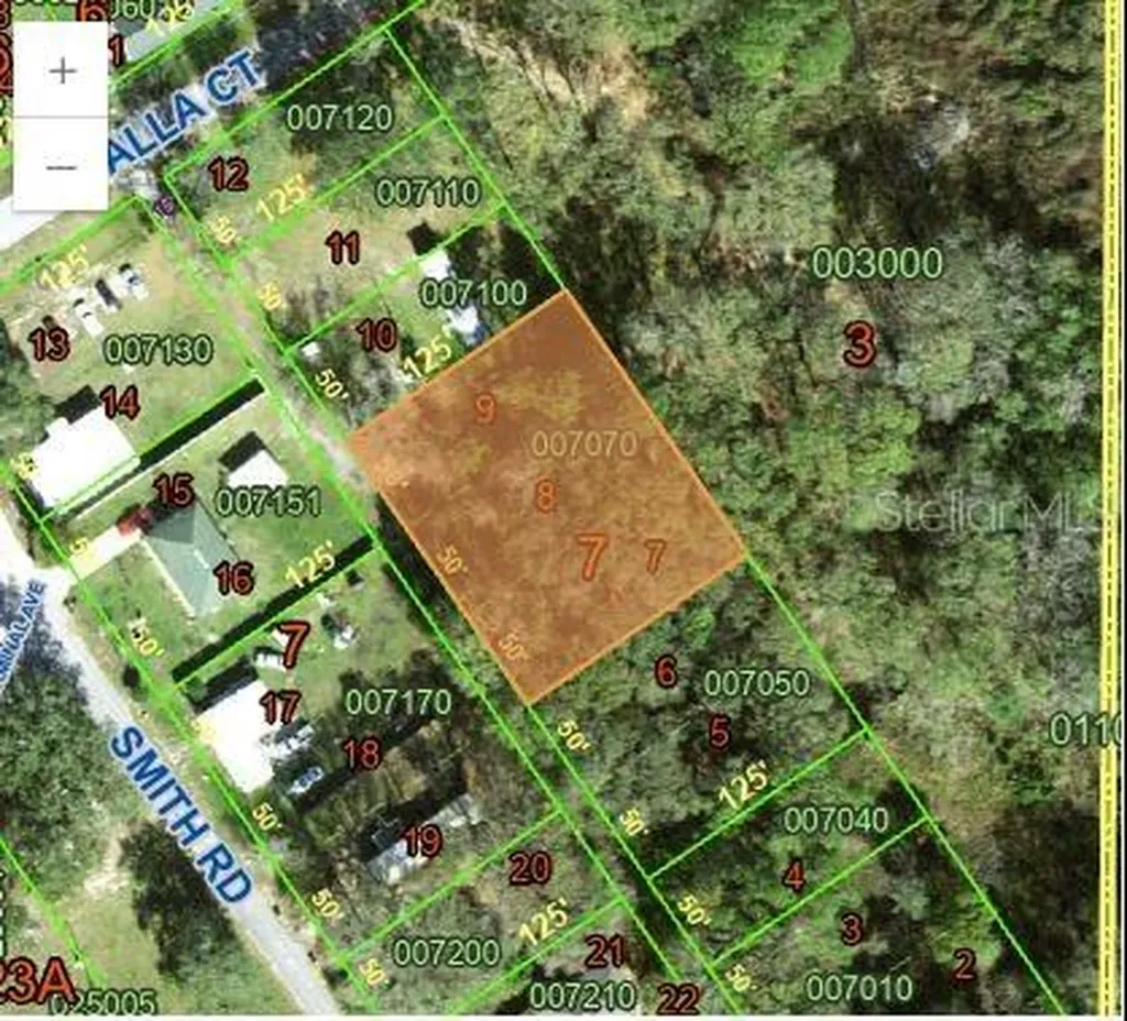 0 Smith Road Polk City FL 33868