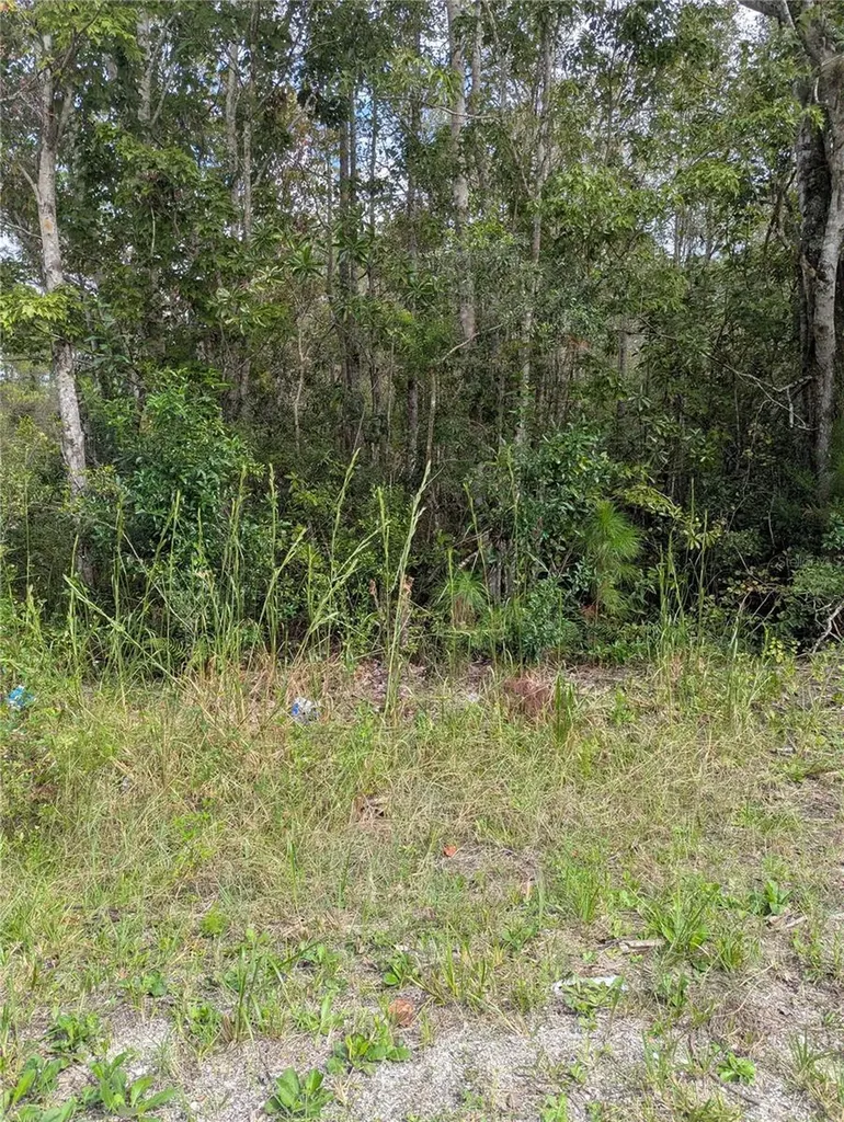 East Parkway Deland FL 32724
