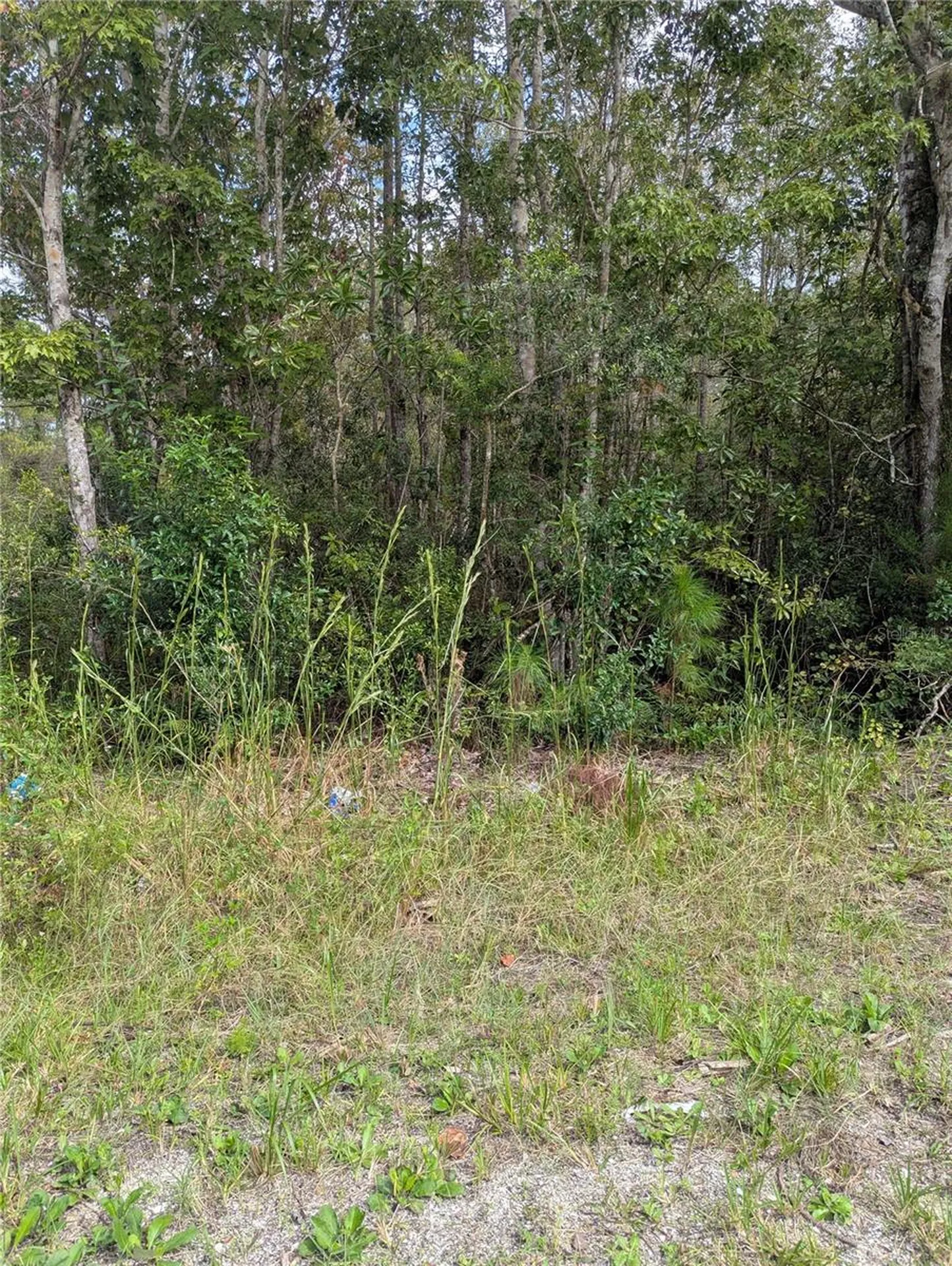 East Parkway Deland FL 32724