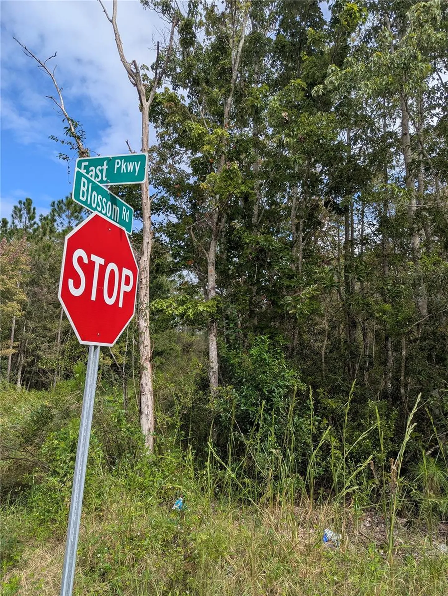 East Parkway Deland FL 32724