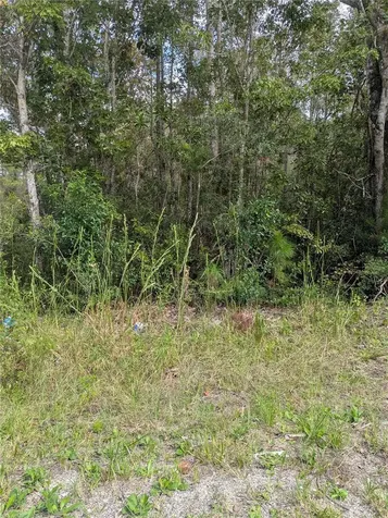 East Parkway Deland FL 32724