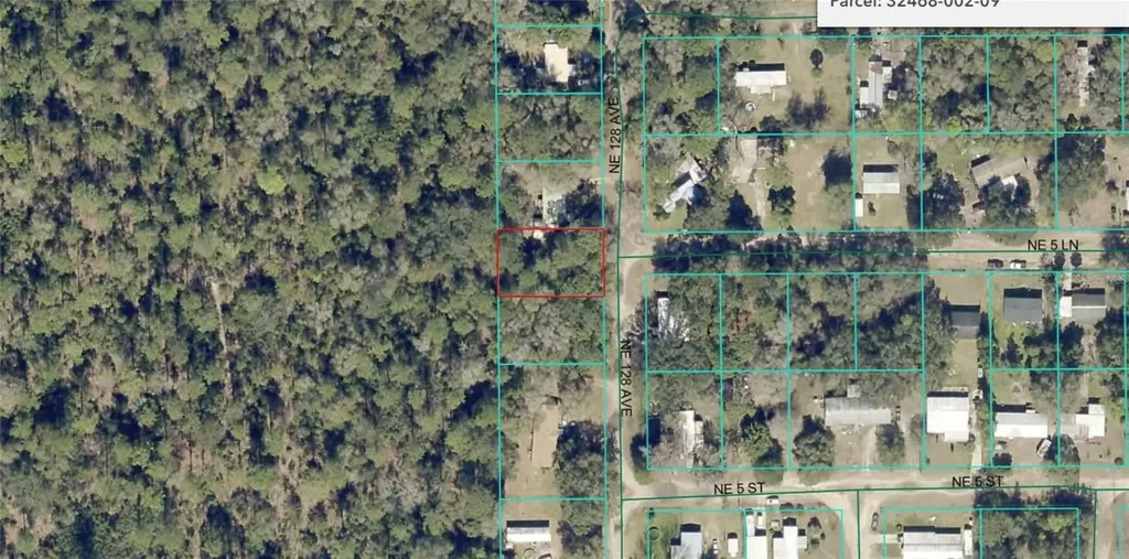 NE 128th Avenue Silver Springs FL 34488
