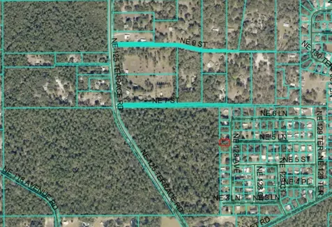 NE 128th Avenue Silver Springs FL 34488