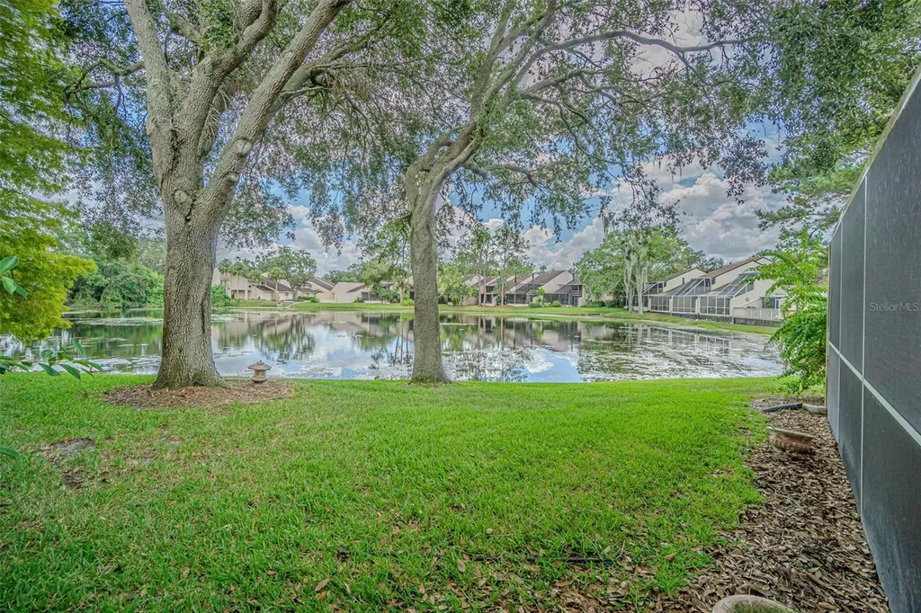 4228 Arborwood Lane Tampa FL 33618