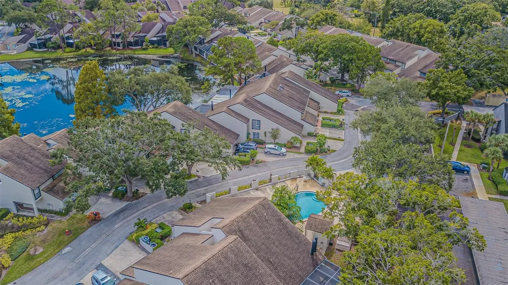 4228 Arborwood Lane Tampa FL 33618