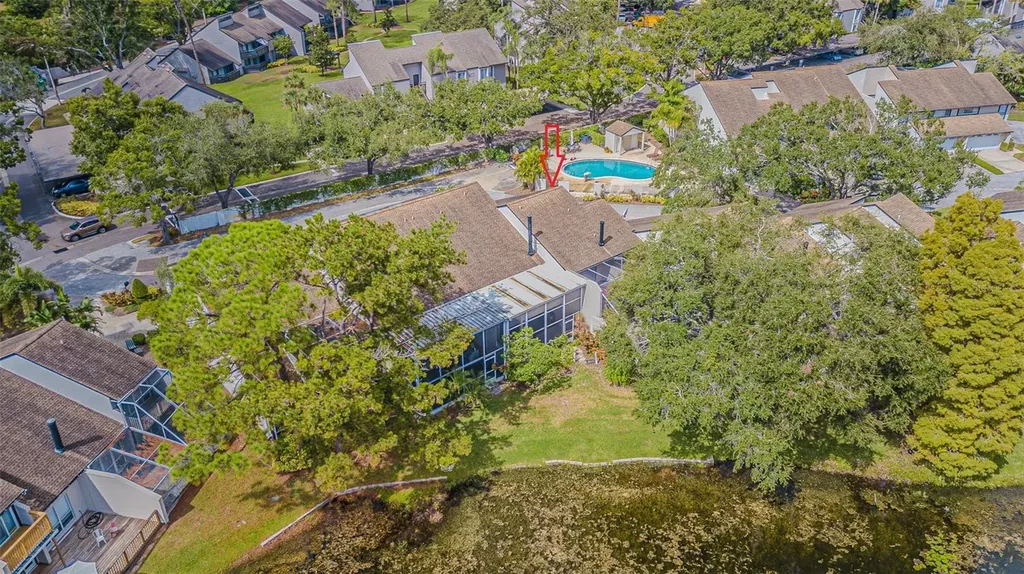 4228 Arborwood Lane Tampa FL 33618