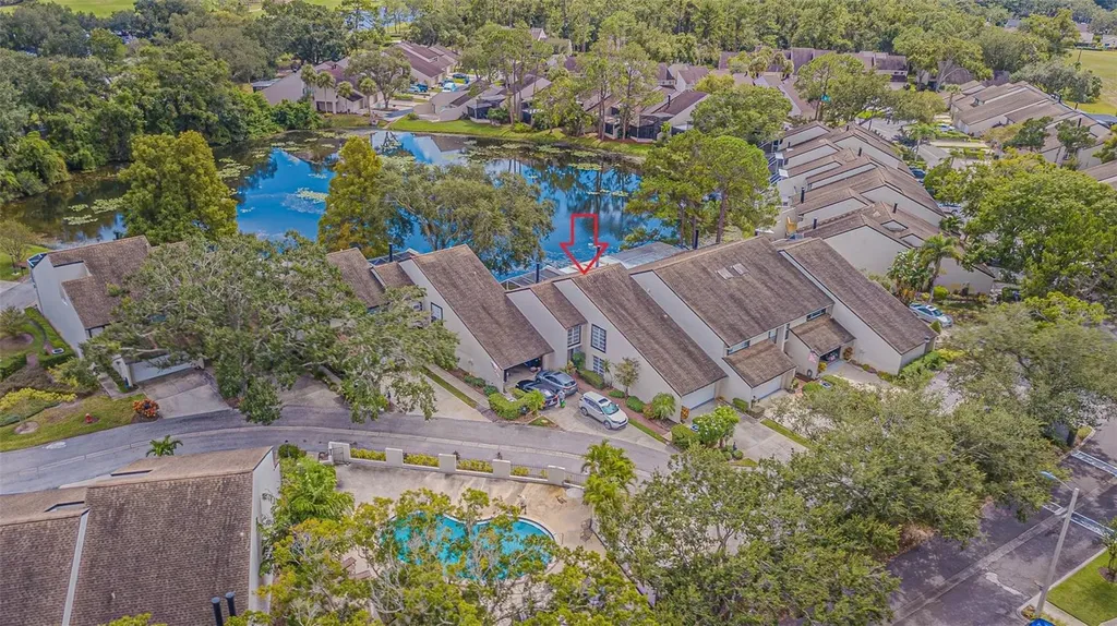 4228 Arborwood Lane Tampa FL 33618