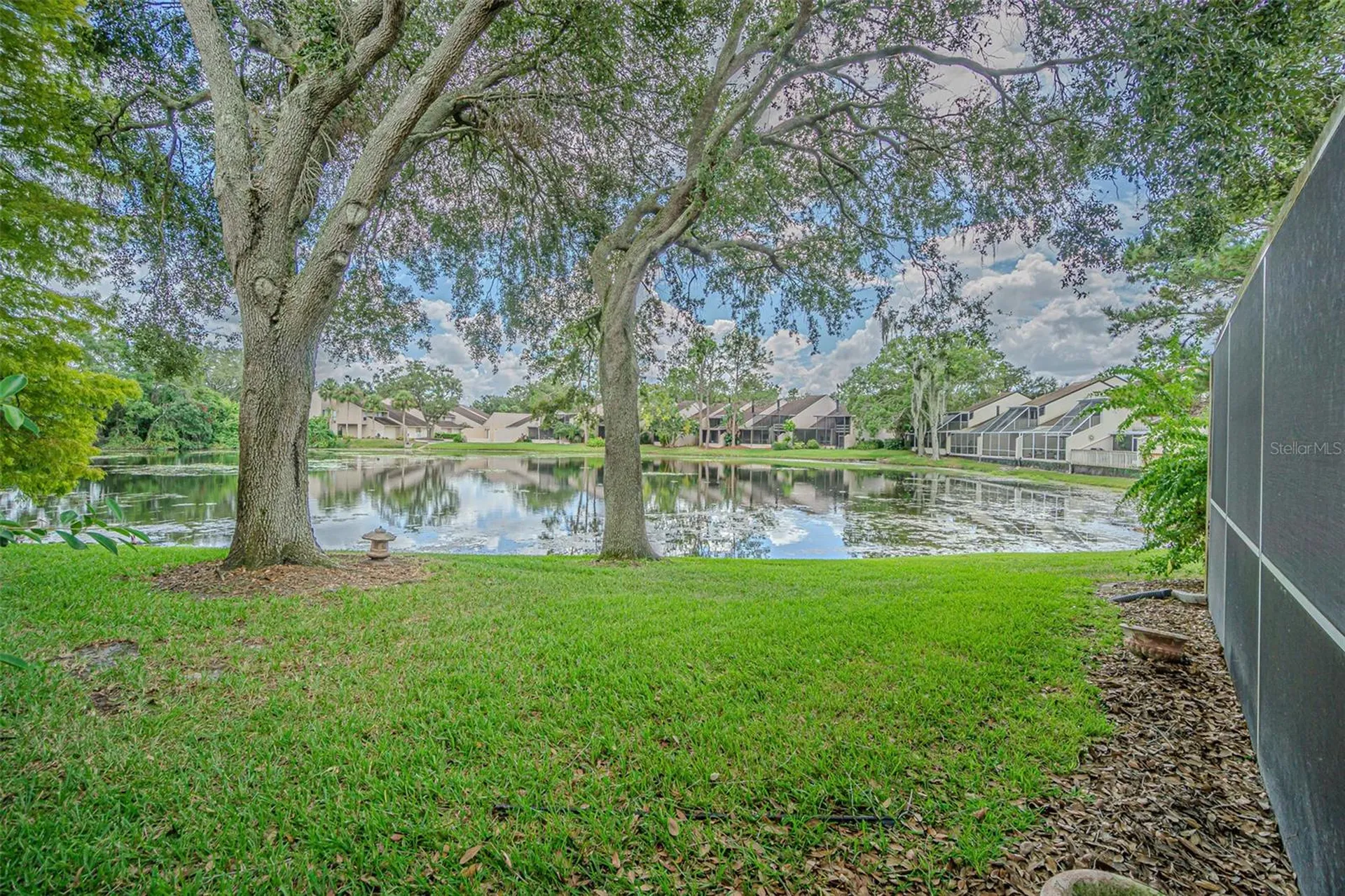 4228 Arborwood Lane Tampa FL 33618