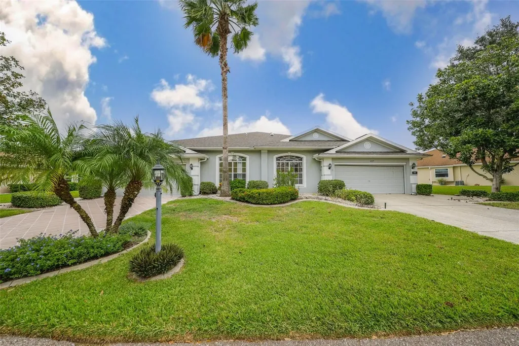 1117 Mcdaniel Street Sun City Center FL 33573