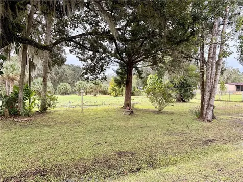 1003 Saint Catherine Avenue Christmas FL 32709