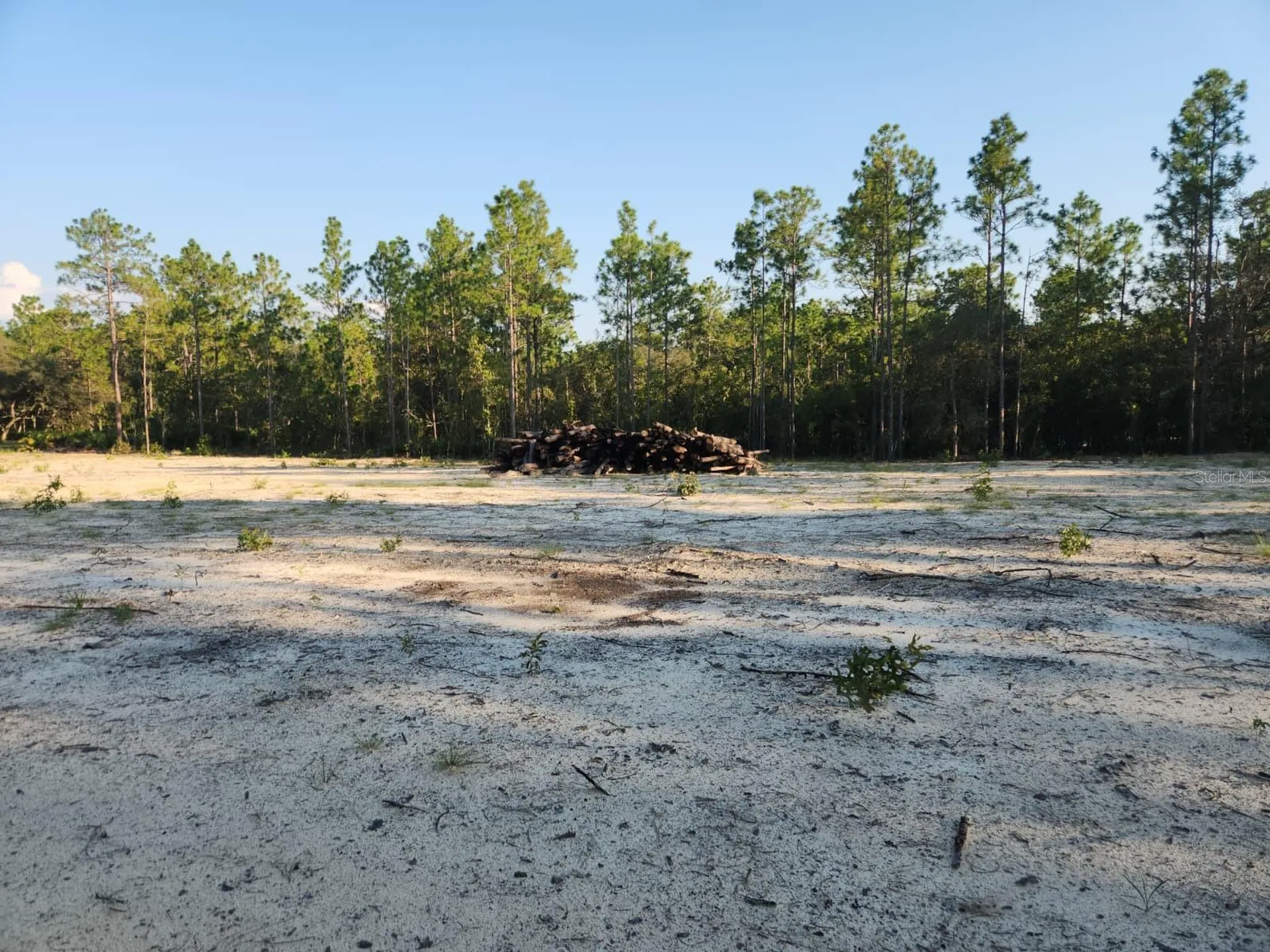 135TH Avenue Ocala FL 34481