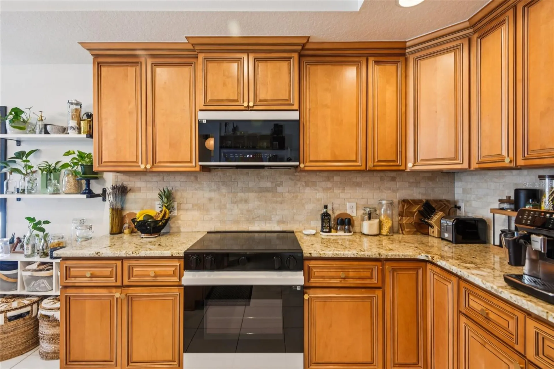 1266 Paradise Lake Drive Tarpon Springs FL 34689