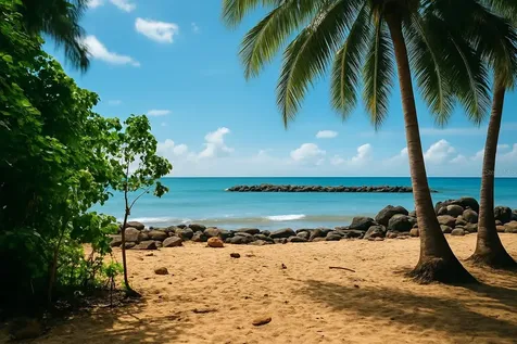 3103 Ave. Isla Verde, Condesa Del Mar Isla Verde PR 00913
