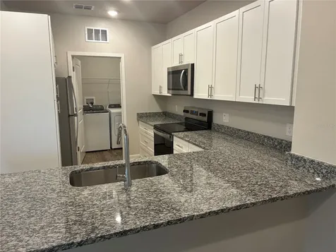 2115 Waterfall Court Mount Dora FL 32757