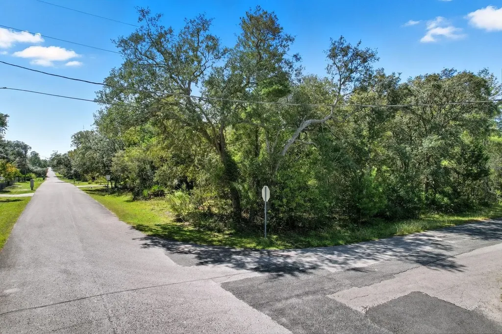 6080 S Esmeralda Terrace Lecanto FL 34461