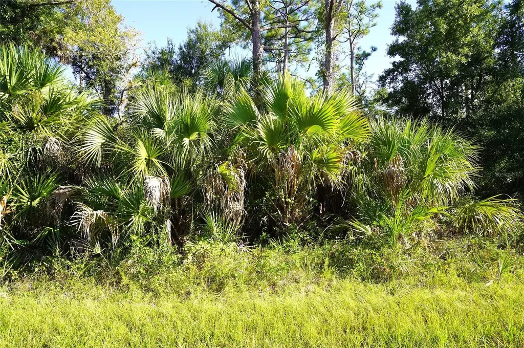 1294 Birch Terrace Port Charlotte FL 33953