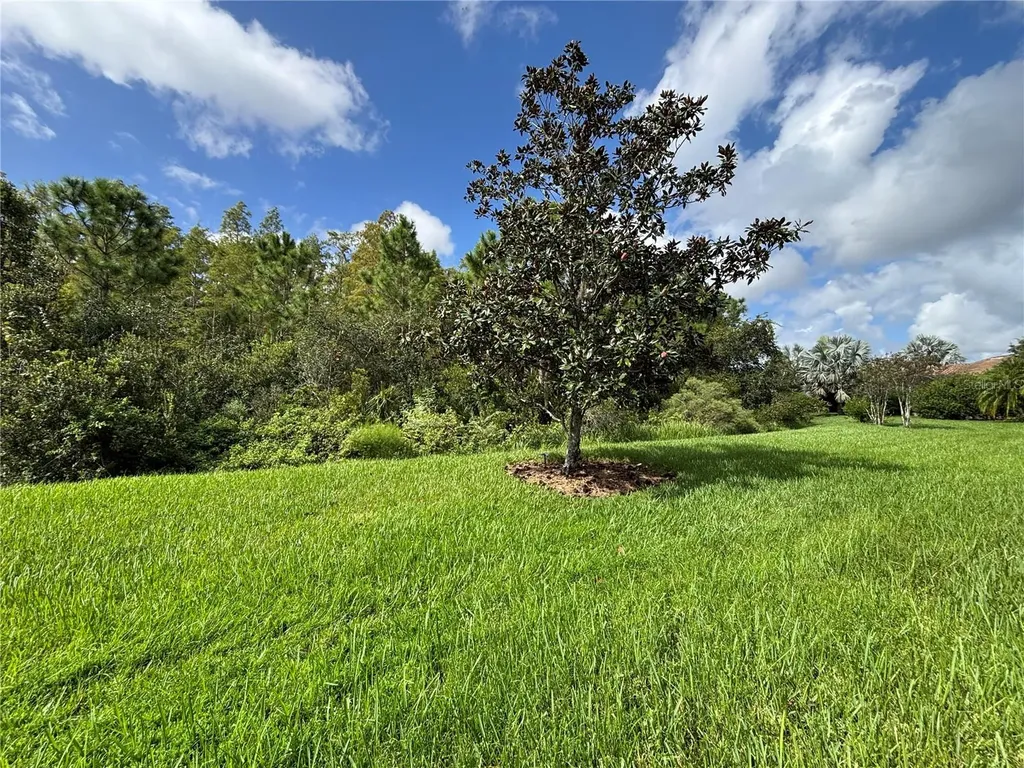 915 San Raphael Street Poinciana FL 34759
