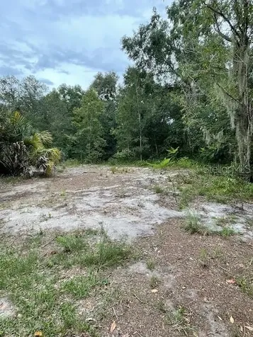 2904 Cleburne Road Orlando FL 32817