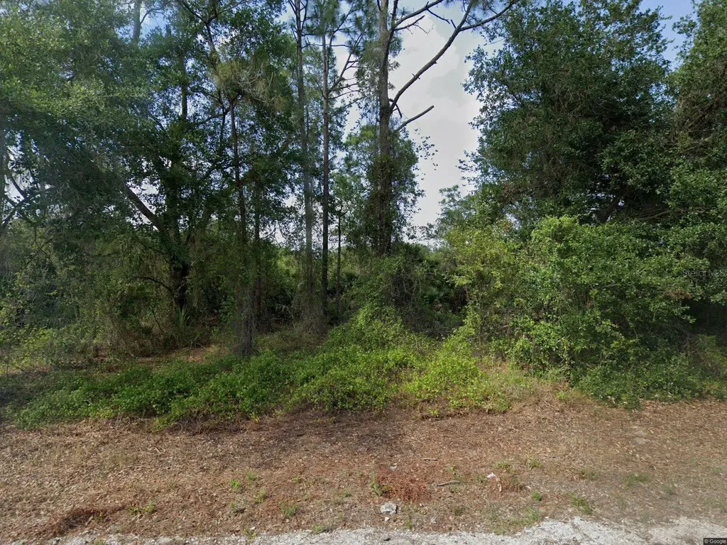 1015 Pilgrim Street E Lehigh Acres FL 33974