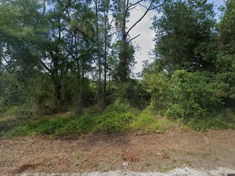 1015 Pilgrim Street E Lehigh Acres FL 33974